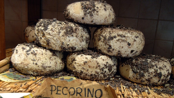 Mehrere Laibe Pecorino