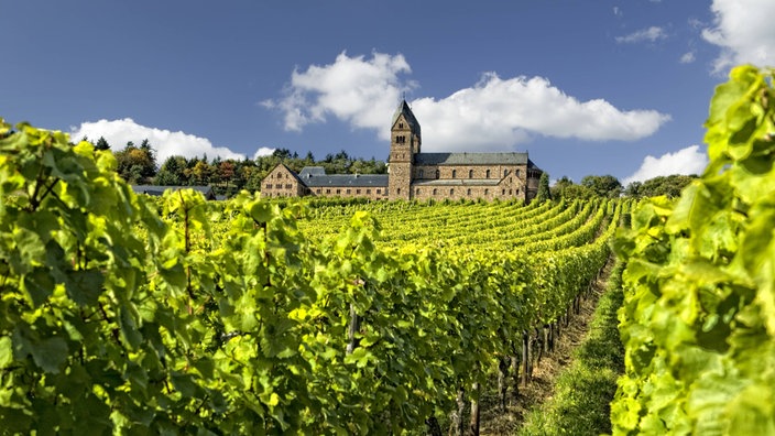 Weinberg vor einem Kloster.