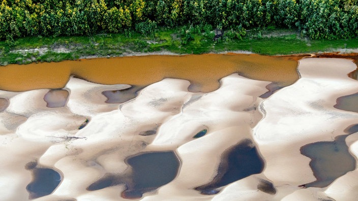 Luftbild von einem Wald, neben dem ein Fluss fließt, der eine weite Sandfläche freigelegt hat.