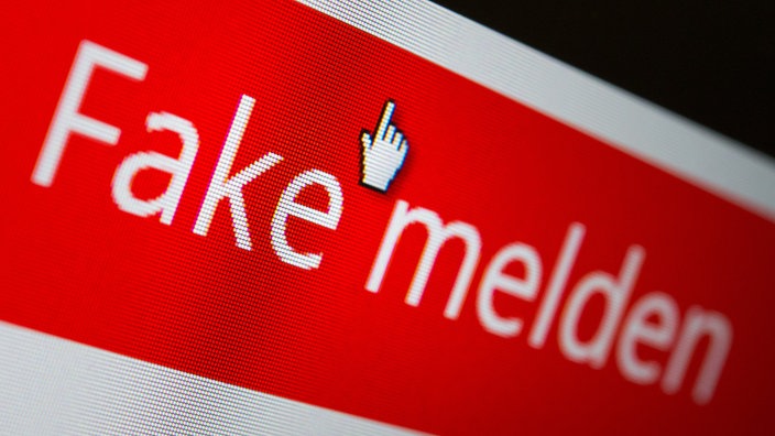 Bildschirm mit der Aufschrift "Fake melden"