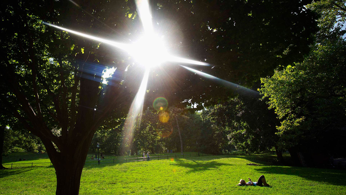 Frau sonnt sich auf einer Wiese im Central Park.