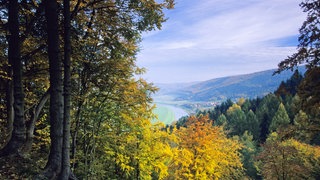 Weserbergland:Blick von der Bramburg auf die Weser