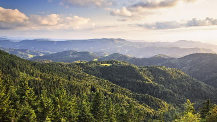 Ansicht über den mittleren Schwarzwald mit wolkigem Himmel