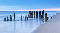 Holzbuhnen am Strand von Sylt..