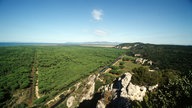 Blick aus der Luft auf einen bewaldeten Küstenabschnitt, der an eine steil abfallende Hügelkette grenzt