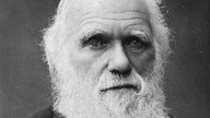 Das Schwarzweiß-Bild zeigt den britischen Naturwissenschaftler Charles Darwin als alten Mann mit langem weißem Bart.