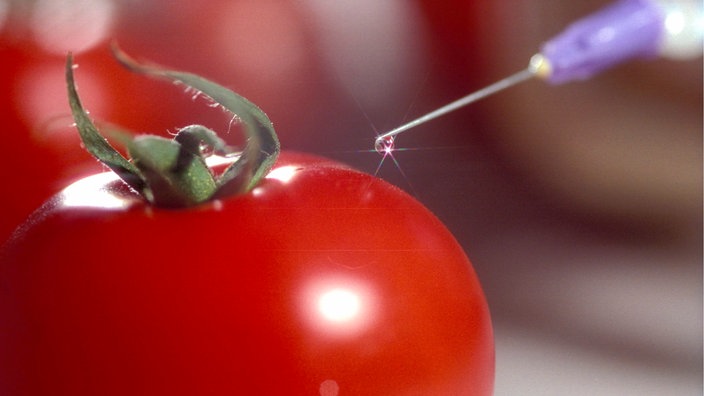 Tomate, im Hintergrund eine Spritze aus der eine Flüssigkeit auf die Tomate tropft