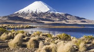 Blick über einen See auf den Vulkan Parinacota