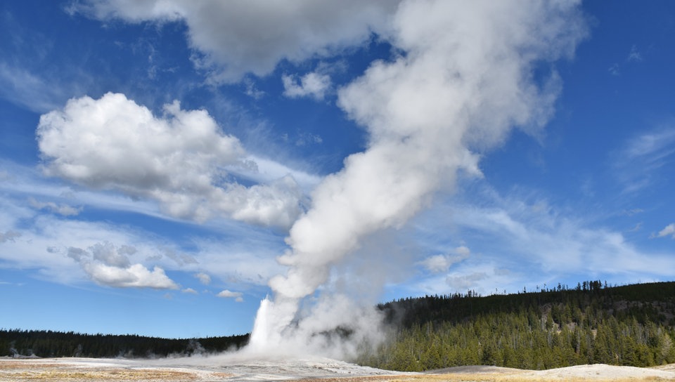 Der Geysir 'Old Faithful' mit hoher Fontäne, die vom Wind leicht abgetrieben wird (Yellowstone-Nationalpark in Wyoming, USA).