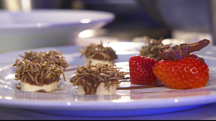 Insektendessert – Schoko-Maden auf Banane, Grillen an Erdbeeren 