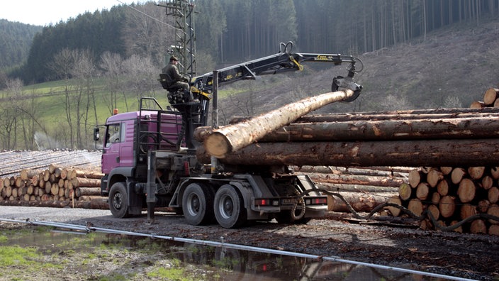 Holzstämme werden mithilfe eines Krans auf einen Sattelschlepper geladen.