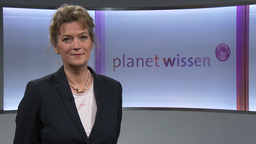 Porträtaufnahme von Dr. Kirsten Tönnies zu Gast im Planet Wissen Studio.