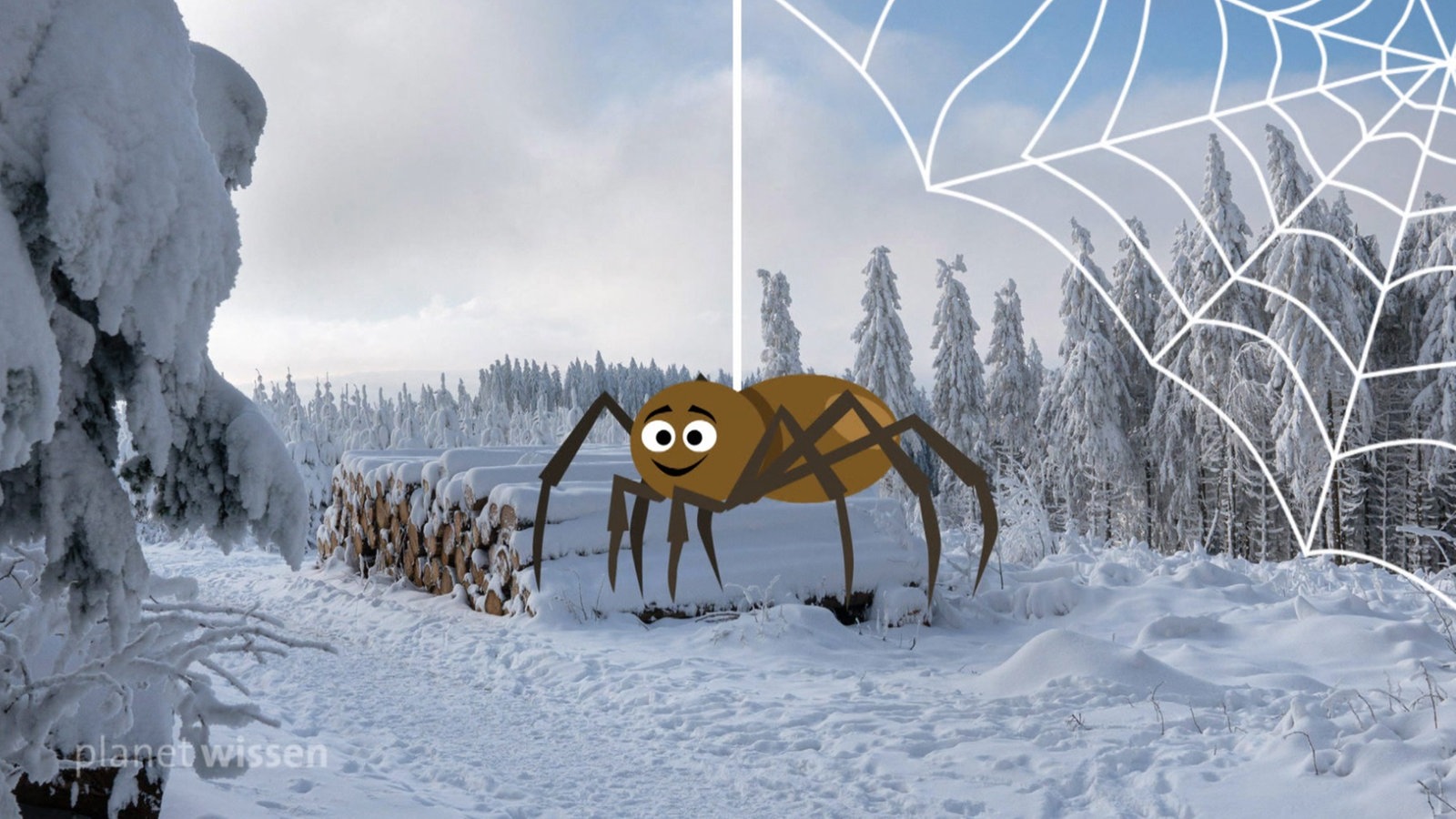 Computeranimierte Spinne vor einem verschneiten Waldstück